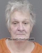Recent Mugshot Image for Florice Francis Long in Isanti County, Minnesota