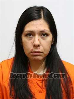 Recent Mugshot Image for TAYLOR NASON in Itasca County, Minnesota