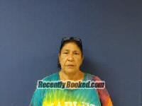 Recent Mugshot Image for Pamela D Garcia in Sampson County, North Carolina