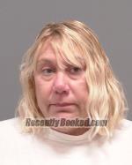 Recent Mugshot Image for Denise Carol Pehrson in Le Sueur County, Minnesota