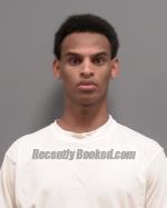 Recent Mugshot Image for Sadam Sahane Sayid Nour in Le Sueur County, Minnesota