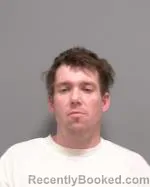 Recent Mugshot Image for Ricky James Rice in Le Sueur County, Minnesota