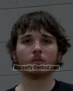 Recent Mugshot Image for Ryland Patrick Mcnamara in McLeod County, Minnesota