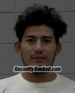 Recent Mugshot Image for Mario Jose-Hernandez Martinez in McLeod County, Minnesota