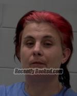 Recent Mugshot Image for Nicole Lee Marquardt in McLeod County, Minnesota