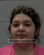 Recent Mugshot Image for Nydia Carolina Rodriguez-Gonzalez in McLeod County, Minnesota