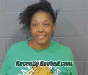 Recent Booking / Mugshot for AMANDA CHATEL-MARIA LEAK in Stanly County