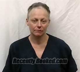 Recent Mugshot Image for Sharon Leann Driver in Stokes County, North Carolina