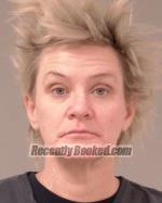 Recent Mugshot Image for Amy Louise Lillevold in Scott County, Minnesota