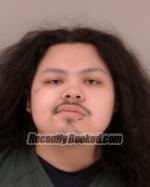 Recent Mugshot Image for Sincere Carlos Thin Elk in Scott County, Minnesota