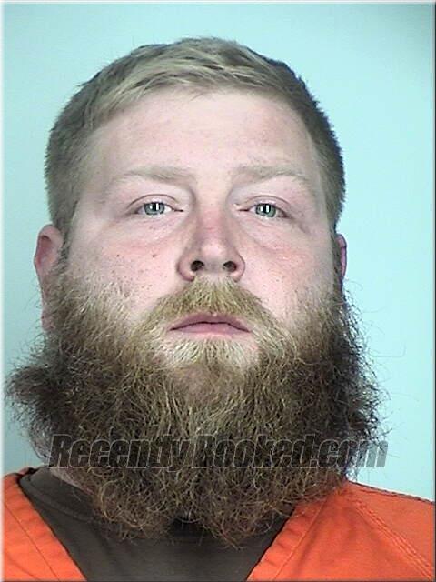 Recent Mugshot Image for David Johnson in Sherburne County, Minnesota
