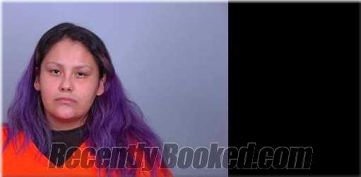 Recent Mugshot Image for Lori Sayers in Sherburne County, Minnesota