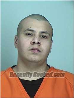 Recent Mugshot Image for Duwayne Schwensen in Sherburne County, Minnesota