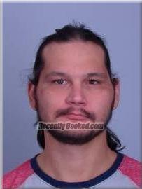 Recent Mugshot Image for David Johnston in Sherburne County, Minnesota