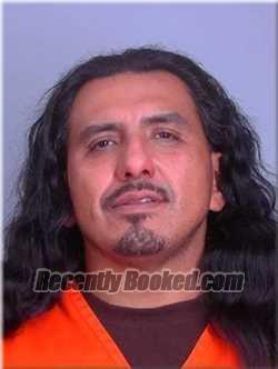 Recent Mugshot Image for David Nelson in Sherburne County, Minnesota