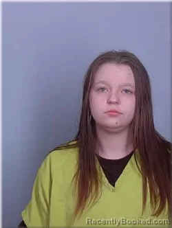Recent Mugshot Image for Allison Schoen in Sherburne County, Minnesota