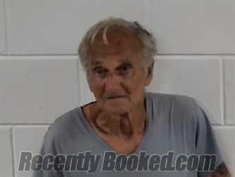 Recent Booking / Mugshot for HERBERT LEE GOINS in Surry County, North ...