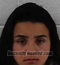 Recent Mugshot Image for IZABEL MANUELA FERNANDEZ in Surry County, North Carolina