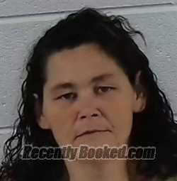 Recent Mugshot Image for MARY ELIZABETH WALL in Surry County, North Carolina