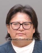 Recent Booking / Mugshot for Jessica Rae Longie in Wilkin County, Minnesota