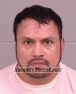Recent Mugshot Image for Jose Luis Tellez-Navarro in Winona County, Minnesota