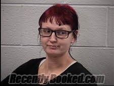 Recent Mugshot Image for Sarah Megan Gibson in Transylvania County, North Carolina