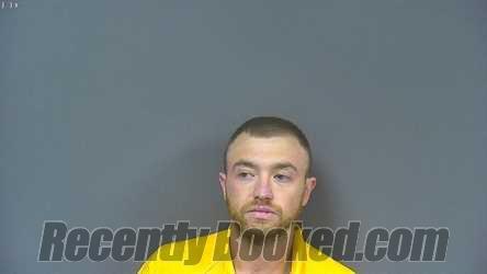 Recent Mugshot Image for BAILEY J GILDEA in DeSoto County, Mississippi