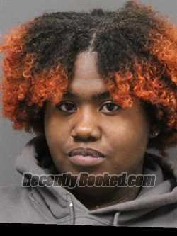 Recent Mugshot Image for JASMINE N JACKSON in DeSoto County, Mississippi