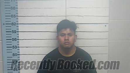 Recent Mugshot Image for JEISON LEIVA-SALES in DeSoto County, Mississippi