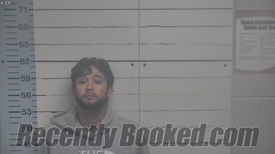 Recent Mugshot Image for JAMIE COY LANCE in DeSoto County, Mississippi