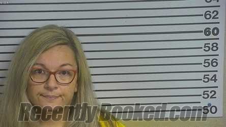 Recent Mugshot Image for AMANDA MICHELLE JOHNSON in Forrest County, Mississippi