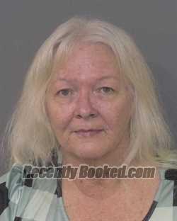 Recent Mugshot Image for JILL BAUCOM EFIRD in Union County, North Carolina
