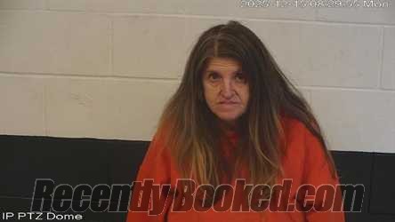 Recent Mugshot Image for Tammy Mechelle Brashears in Marion County, Mississippi