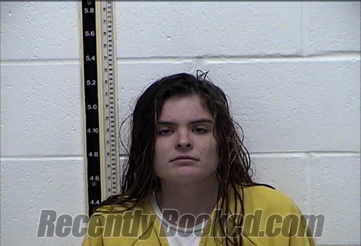 Recent Booking Mugshot For JESSICA NICOLE SMITH In Pearl River County 