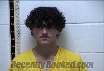 Recent Mugshot Image for DOMINICK JOSEPH RUSH in Pearl River County, Mississippi