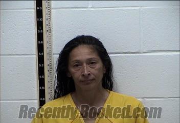 Recent Mugshot Image for ELIZABETH ANN MITCHELL in Pearl River County, Mississippi
