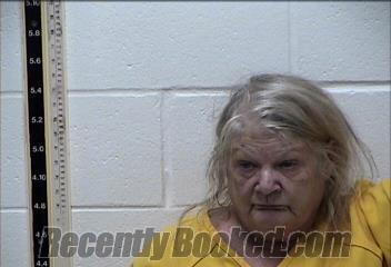 Recent Mugshot Image for LINDA JEAN HEALEY in Pearl River County, Mississippi