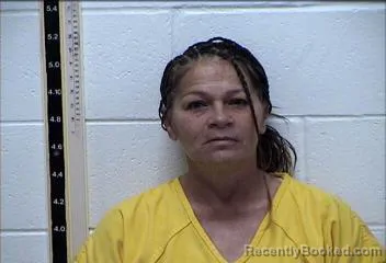 Recent Mugshot Image for SABRINA ANN VARNADO in Pearl River County, Mississippi