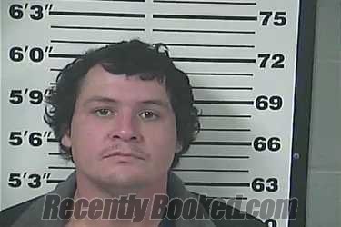 Recent Mugshot Image for AUSTIN MCGILL in Perry County, Mississippi