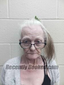 Recent Mugshot Image for Deborah L Williams Wilson in Andrew County, Missouri