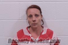Recent Mugshot Image for Diana Shoemaker in Barry County, Missouri