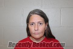 Recent Mugshot Image for MECHELLE MARIE WRIGHT in Benton County, Missouri