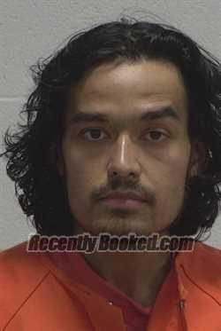 Recent Booking / Mugshot for JORDAN BLAKE GERCHMAN in Wayne County