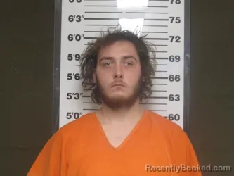 Recent Mugshot Image for Paul Smith in Bollinger County, Missouri