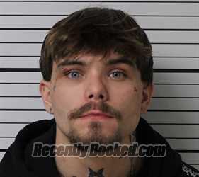 Recent Mugshot Image for LARRY DEWAYNE PARKS in Butler County, Missouri