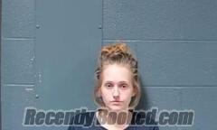 Recent Mugshot Image for Amanda Marie Enloe in Callaway County, Missouri