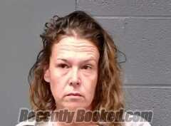 Recent Mugshot Image for Jennifer Lynn Hensley in Callaway County, Missouri