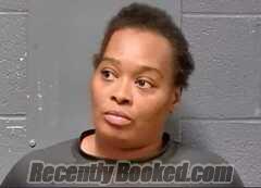 Recent Mugshot Image for Ashlee Camille Miller in Callaway County, Missouri