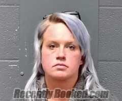 Recent Mugshot Image for Monica Lynn Finch in Callaway County, Missouri