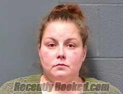 Recent Mugshot Image for Michelle Renee Pursifull in Callaway County, Missouri